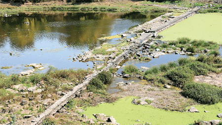 इतिहास के पन्नों में समा रही गौर नदी, कई जगह पर थमी