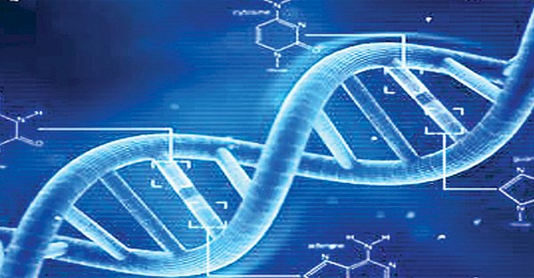 मानव डीएनए में बीमारी से संबंधित बदलावों की पहचान में उपयोगी एआई