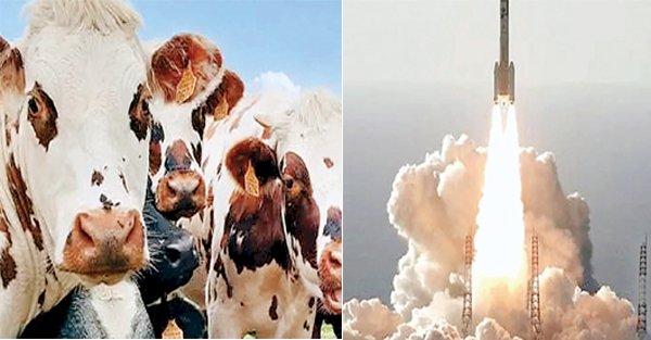 दुनिया में पहली बार गाय के गोबर से ईंधन  बनाकर जापान ने लॉन्च किया रॉकेट